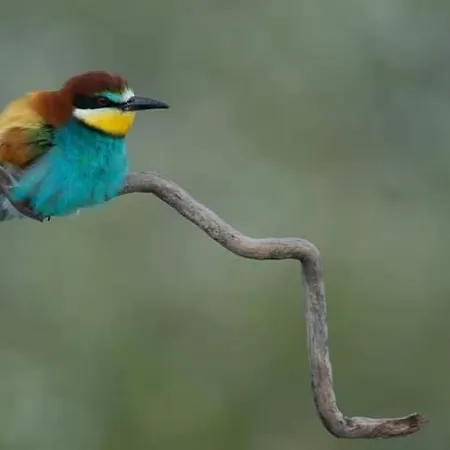 La Vera, Terraza Con Vistas A La Sierra Talaveruela